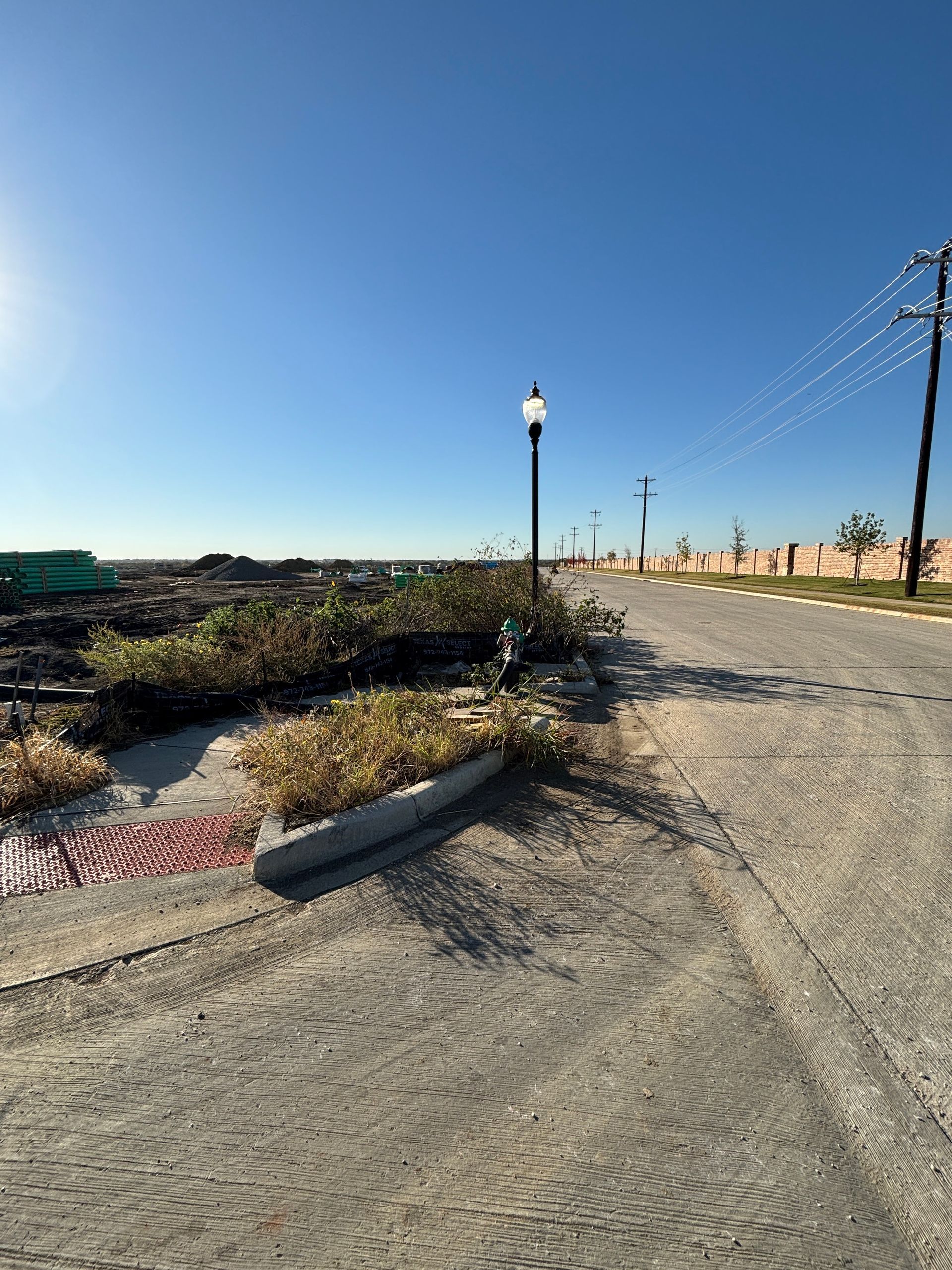 Curved roadside path beside dry shrubs under a clear blue sky with a lamppost in the center.