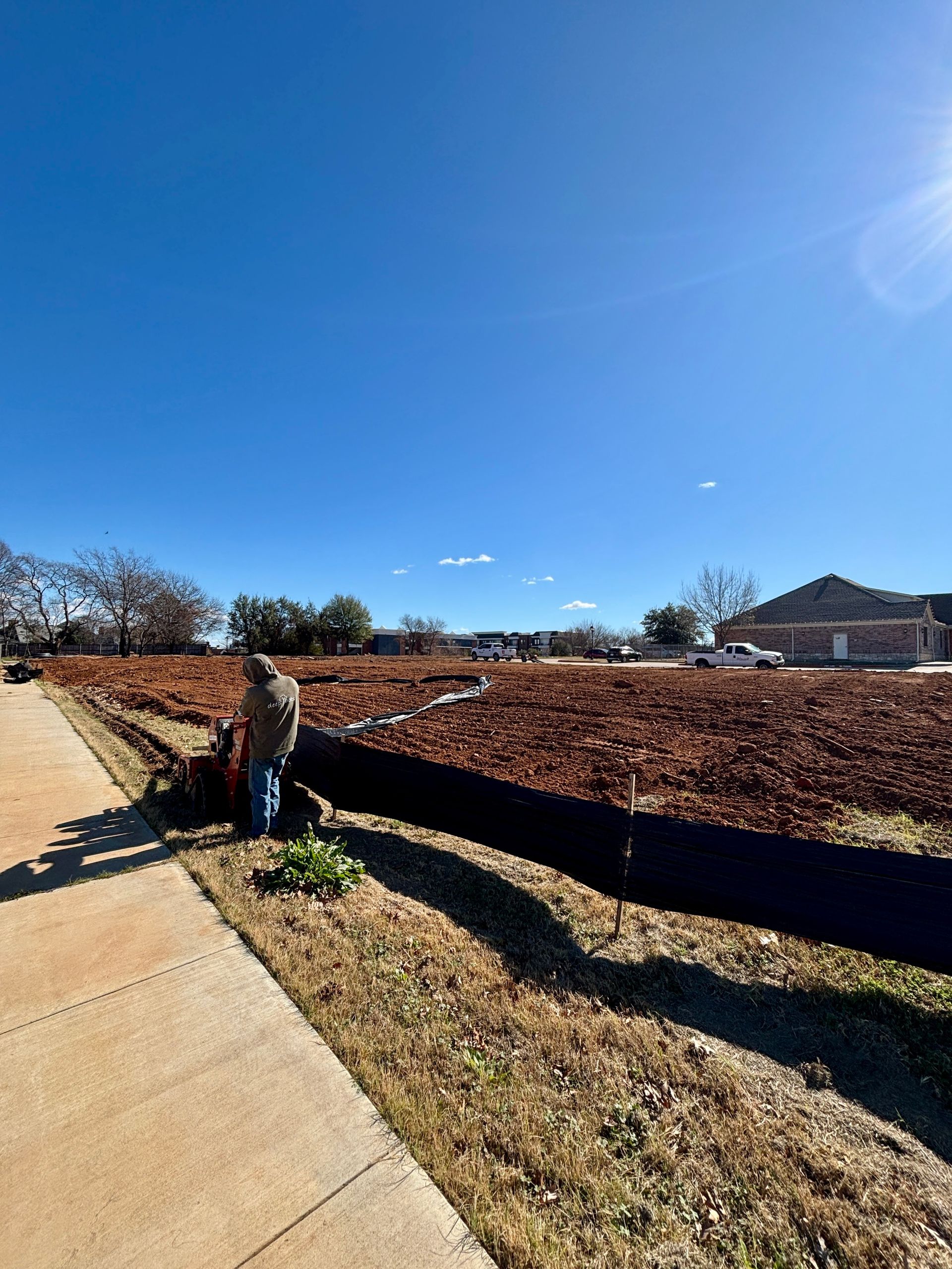 Person standing by a sidewalk next to a hedge under a clear blue sky