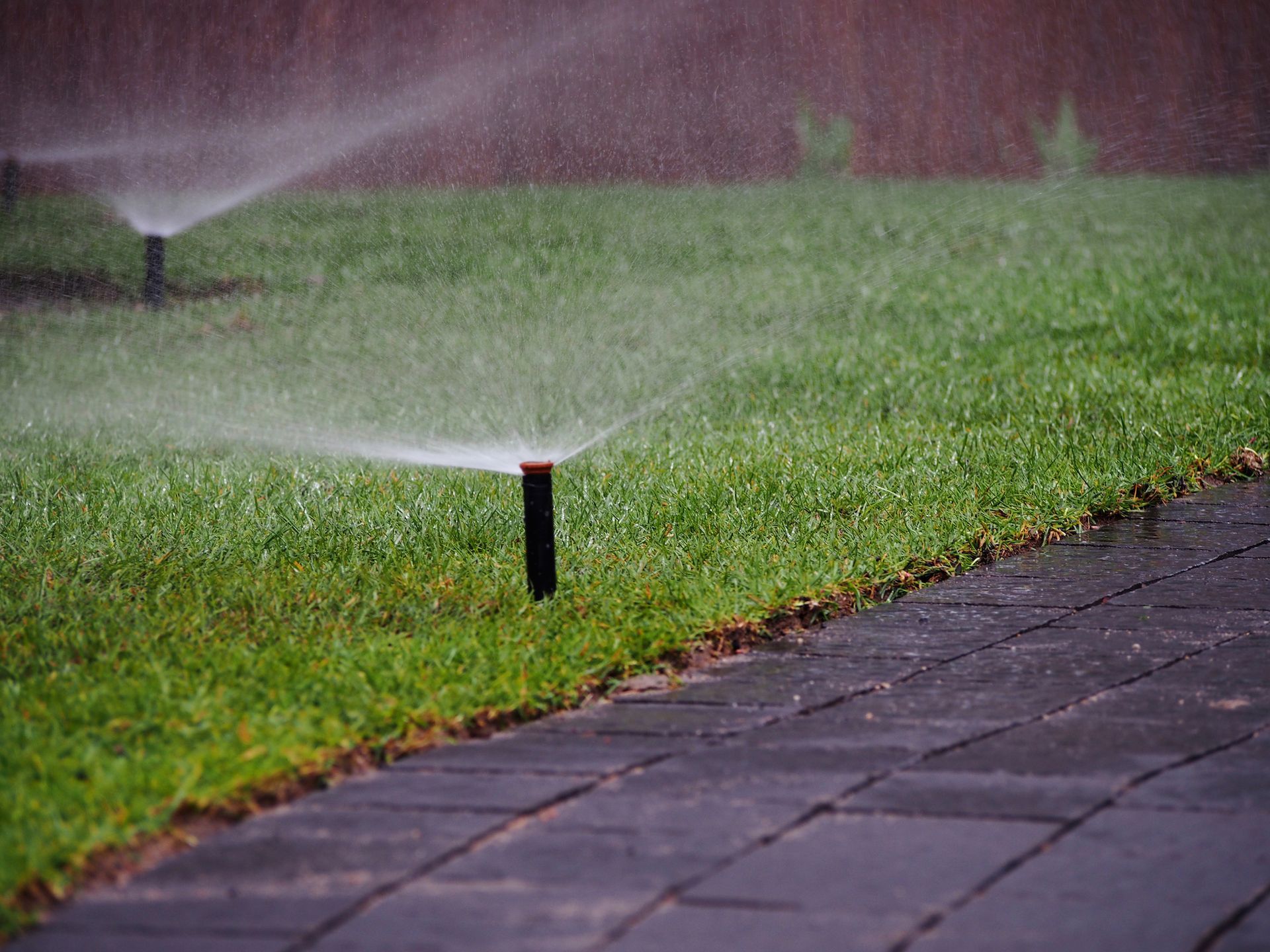 Active pop up lawn sprinklers watering a green residential lawn in Prosper TX