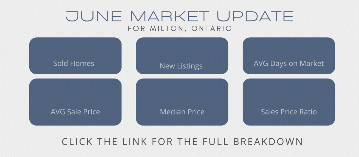 A june market update is displayed on a white background.