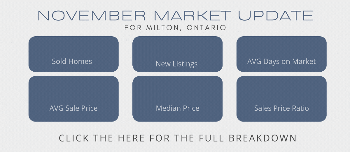 A june market update is displayed on a white background.