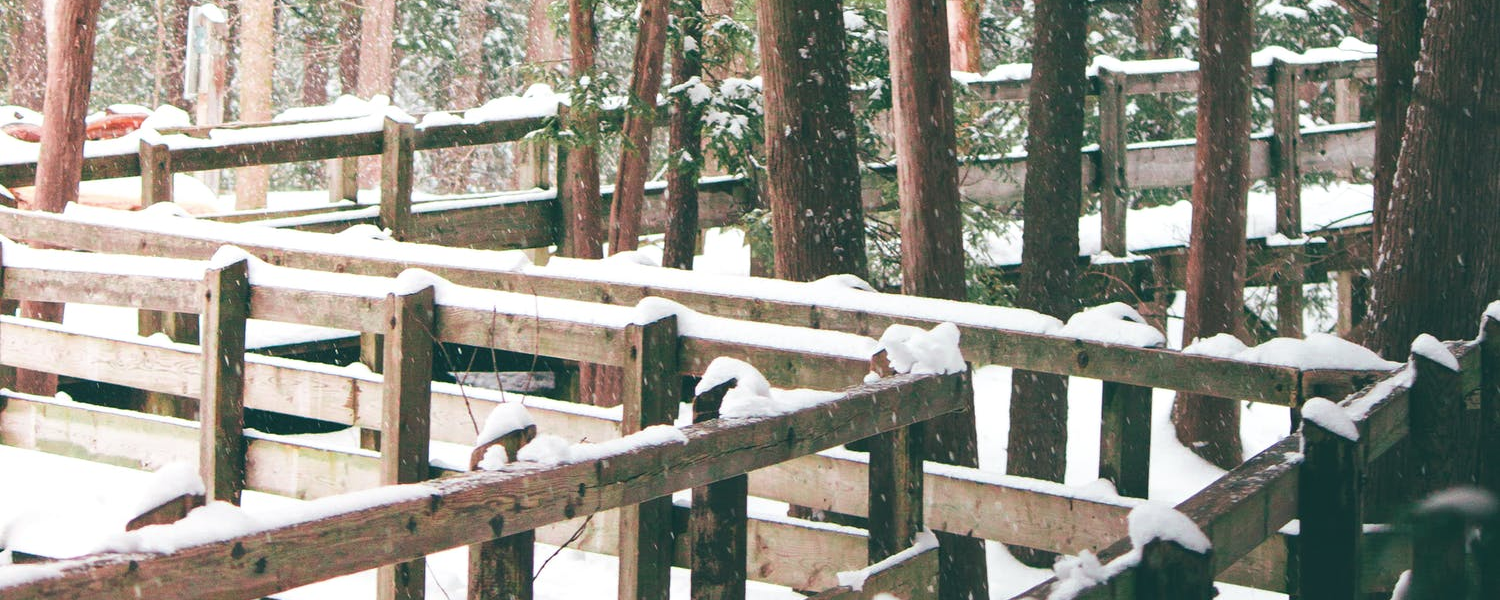 Milton in Winter
