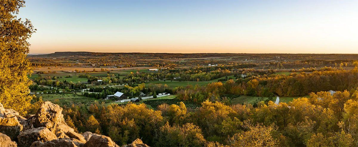 A view of a city from a hill with trees in the foreground and a sunset in the background.