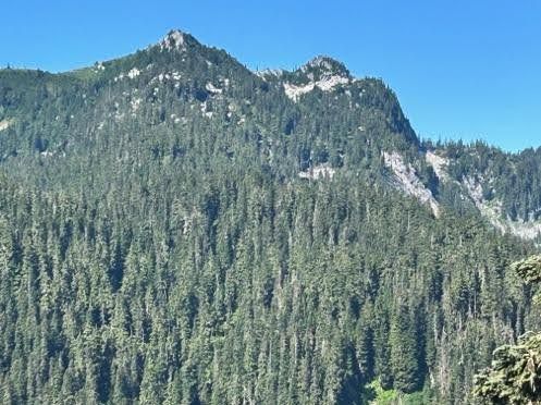 Mountain covered in dense green trees with rocky peaks against a clear blue sky.