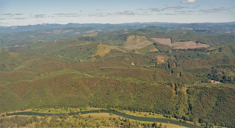 Deforestation and Forest Degradation Are Making Heat Waves and Drought More Intense. Evidence from The Pacific Northwest Heat Dome