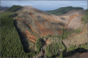 Oregon Public Water Providers Asked To Intervene To Halt Over 18,000 Acres Of Clearcuts