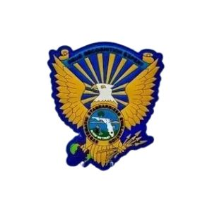 Drug Recognition Expert DRE Florida PVC Velcro Patch