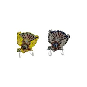 Florida DRE PIN silver and gold