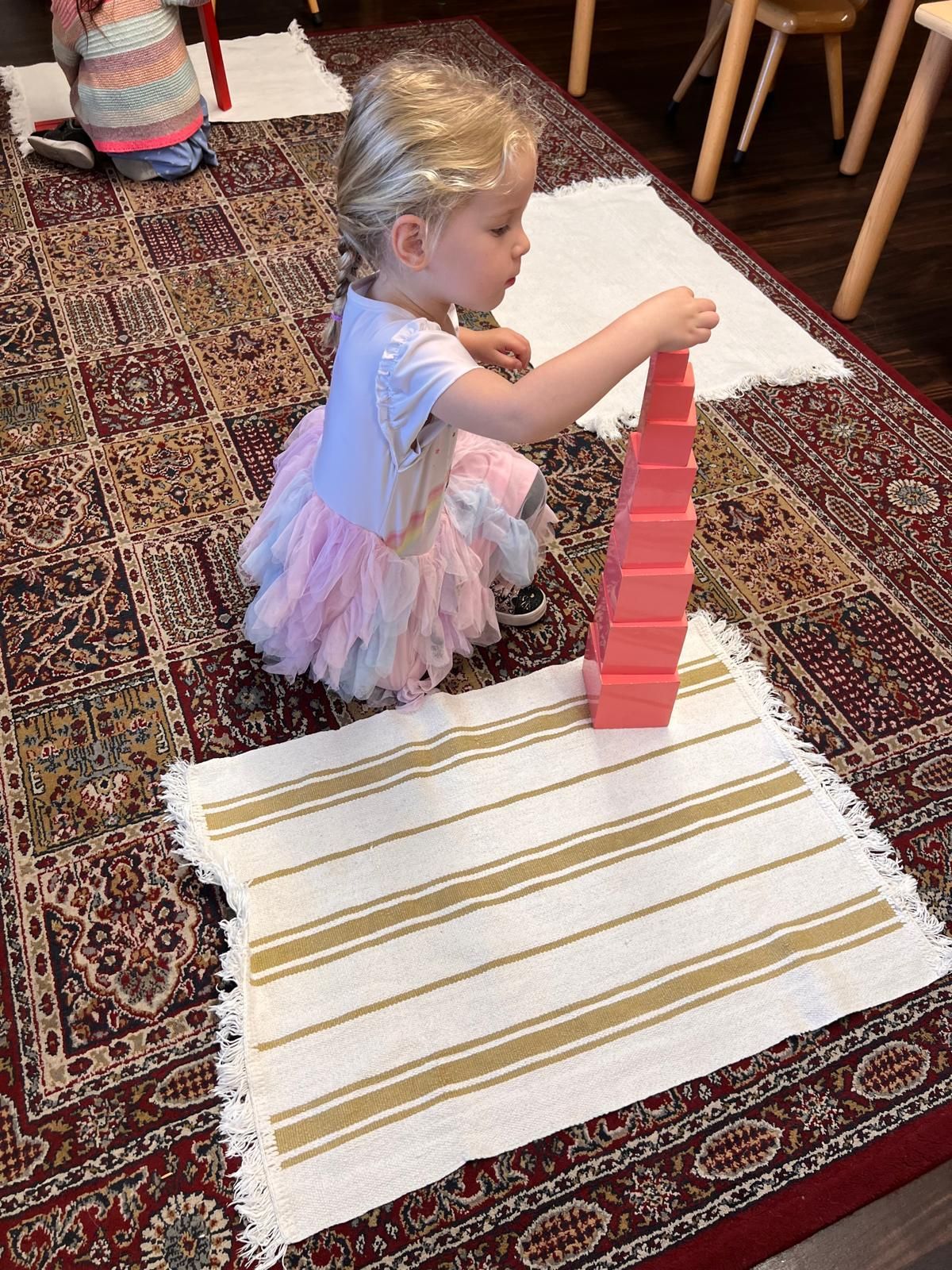 Montessori Primary Preschool Program 