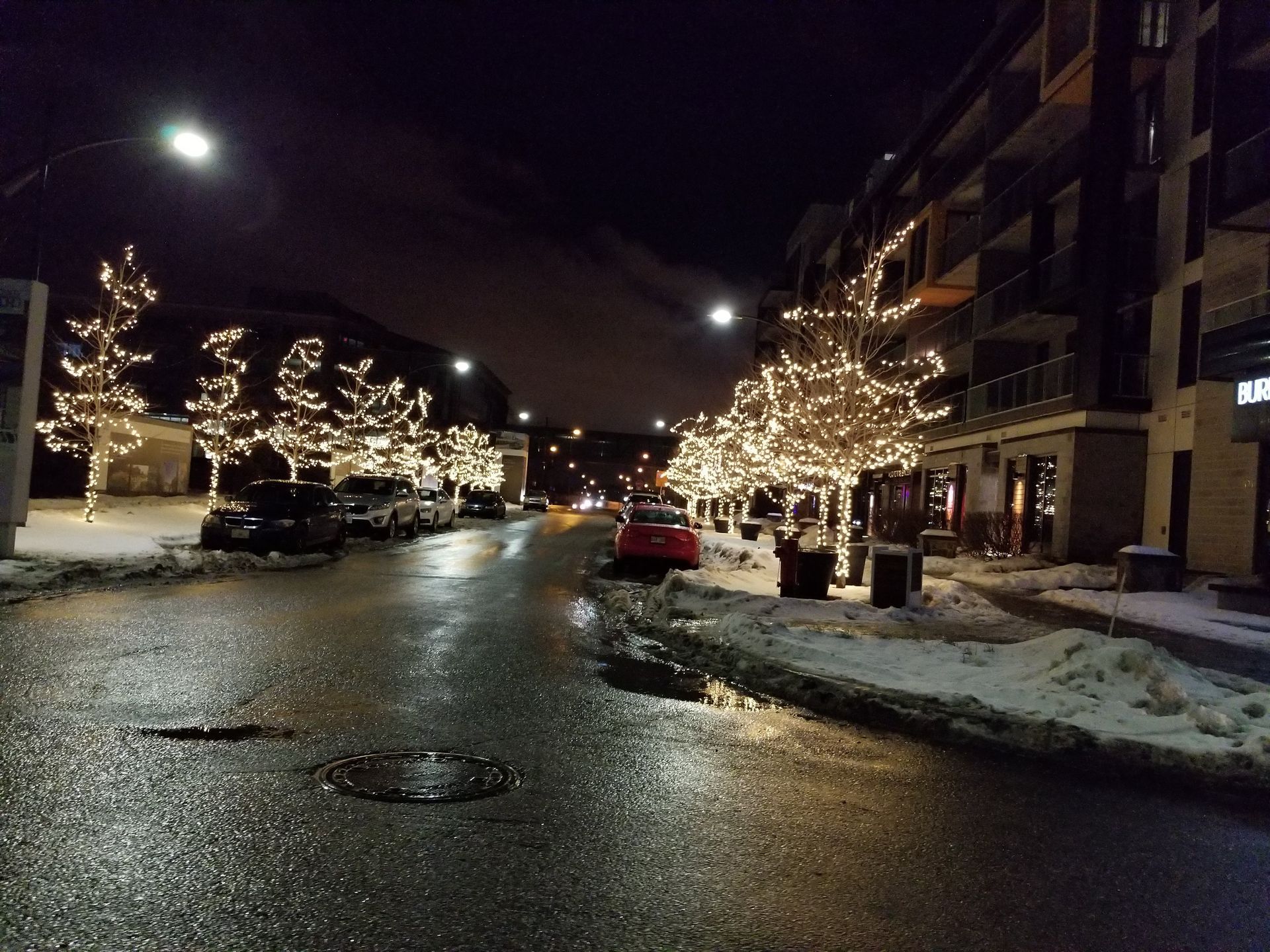 Street scene at night with lit trees, snow, wet asphalt, and buildings.