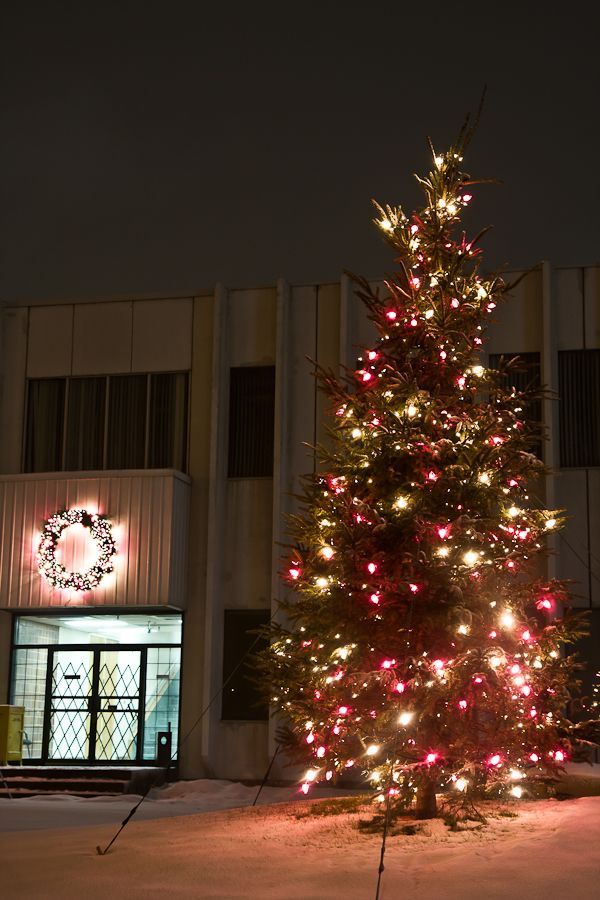 A large christmas tree is lit up in front of a building.