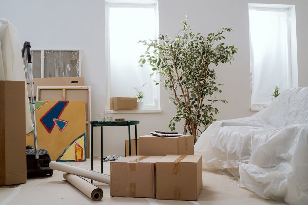 Living room with moving boxes, rolled rug, potted tree, and covered furniture by bright windows