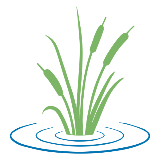 Green cattails and reeds emerging from blue water, ripples visible.