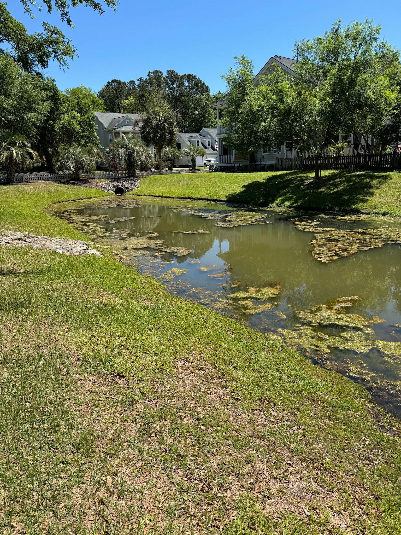 Lake and Pond Management