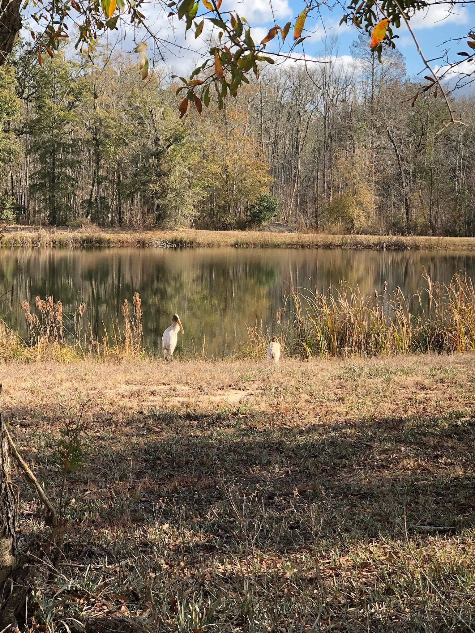 Lake and Pond Management