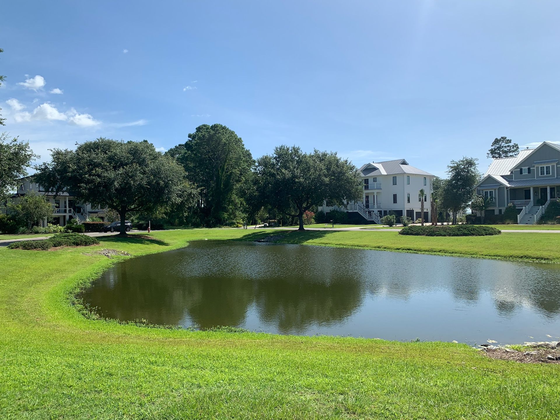 Pond in a grassy park with trees, reflecting the sky and nearby houses on a sunny day.