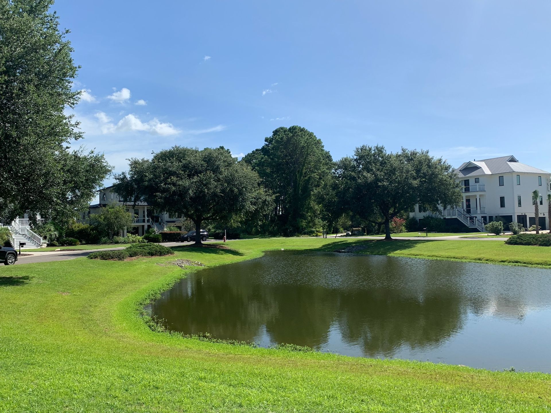 Pond with trees and grass, under a bright blue sky. White buildings in the background.