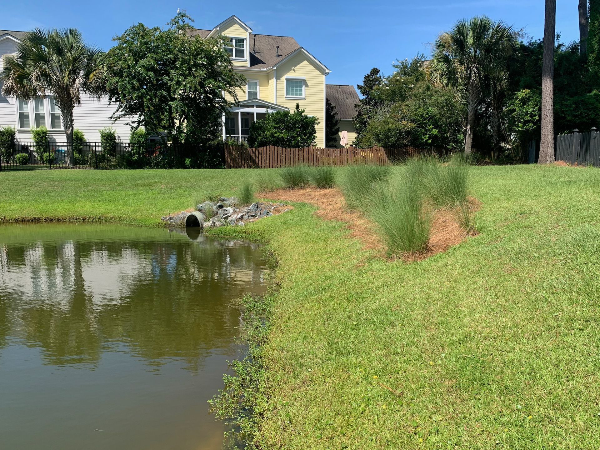Grassy bank of a pond with a drain pipe, lush green grass, and houses in the background on a sunny day.
