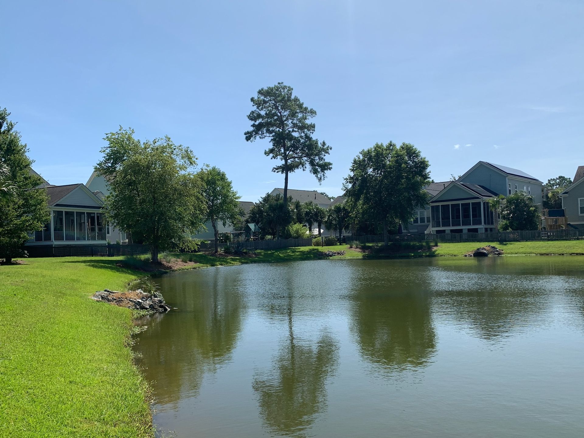 Pond with reflections of trees and houses under a clear blue sky.