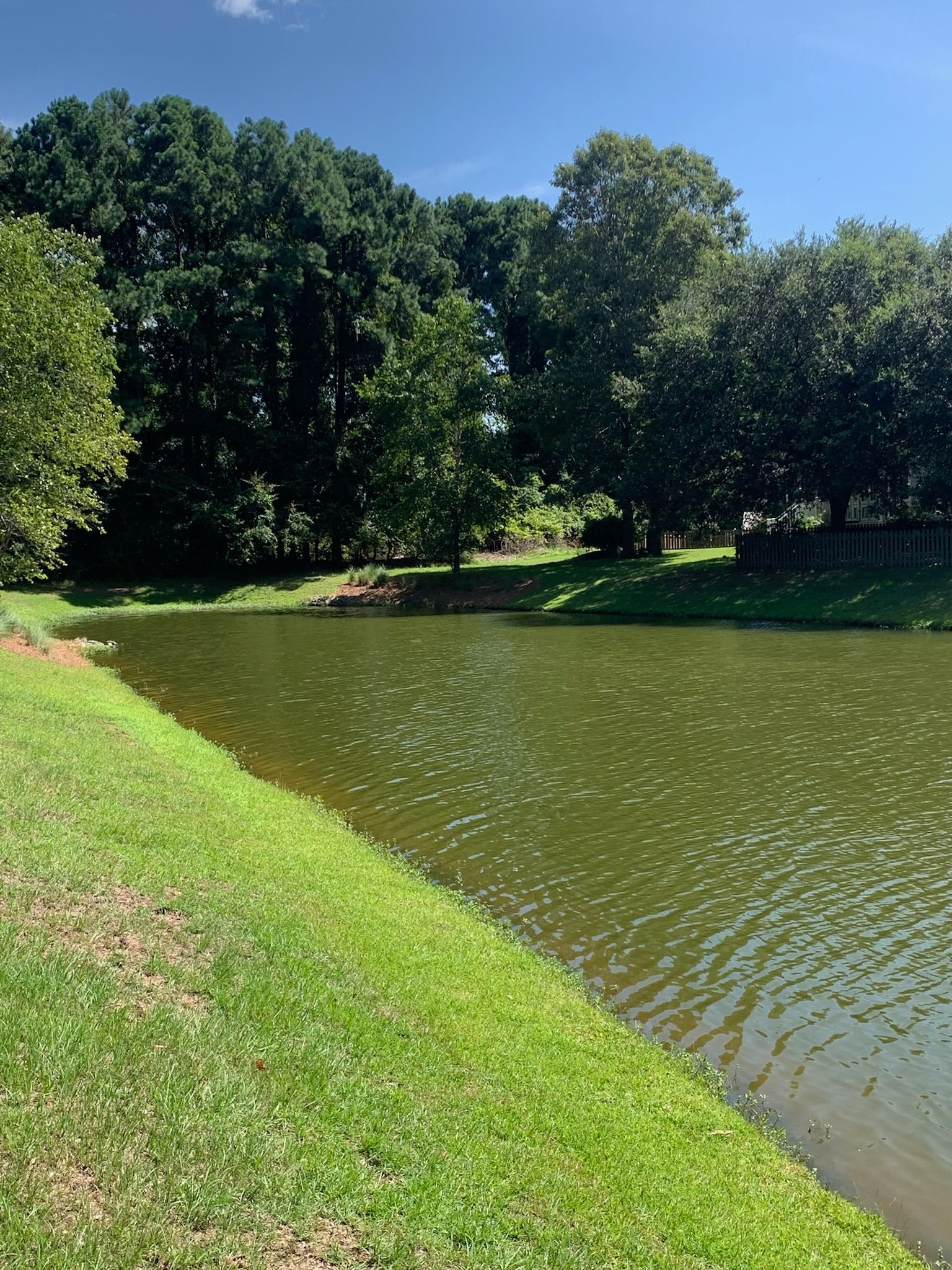 A green pond with rippling water and grassy banks, surrounded by trees under a blue sky.
