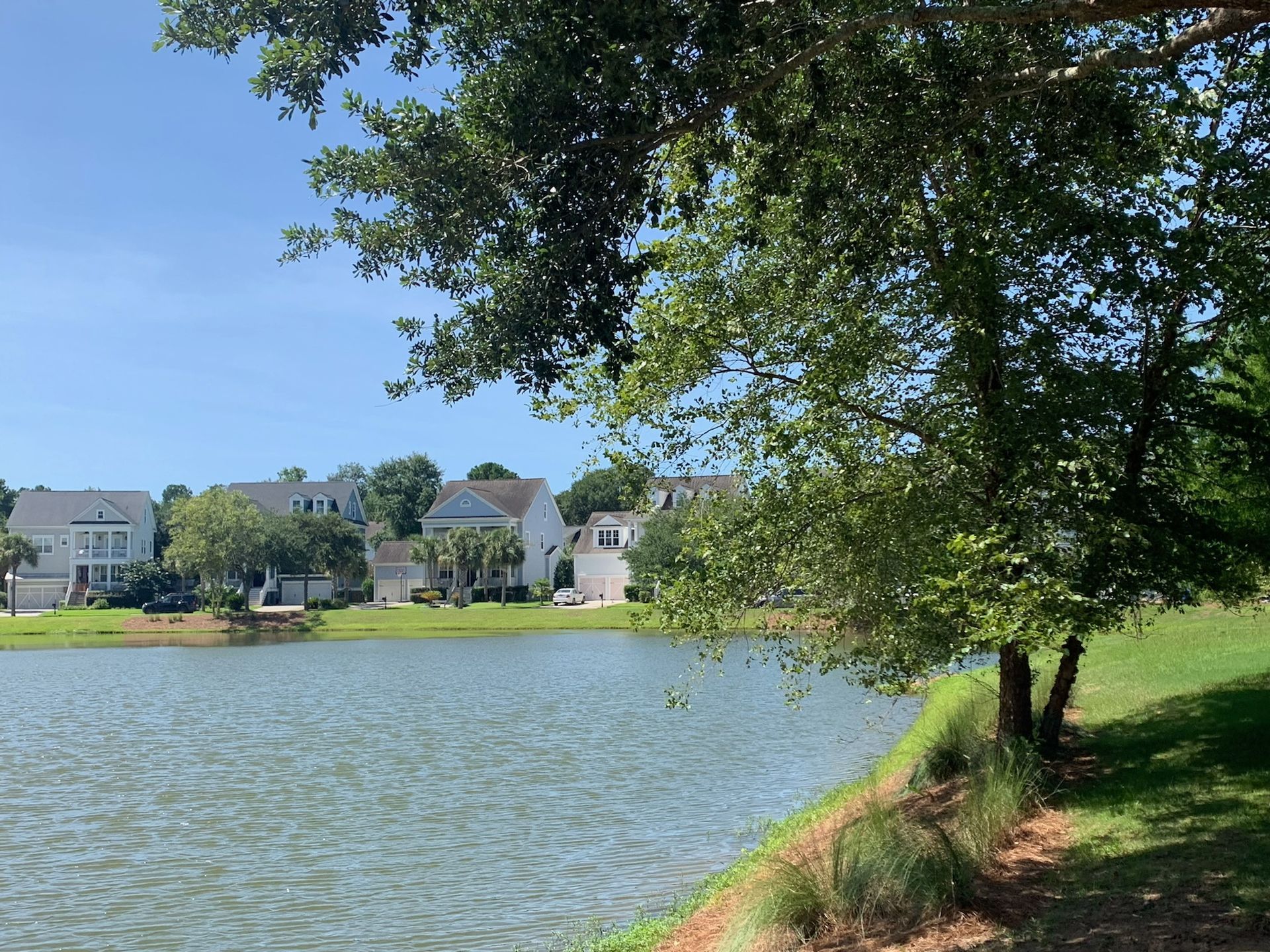 Lakeside view with houses in the background. Green trees frame the lake's edge under a blue sky.