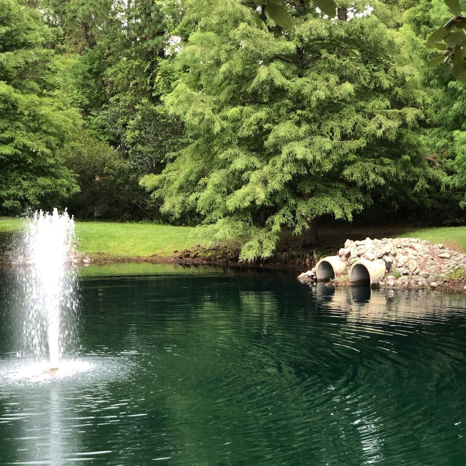 Fountain spraying water into a pond with trees in the background. Two pipes are visible near the pond's edge.