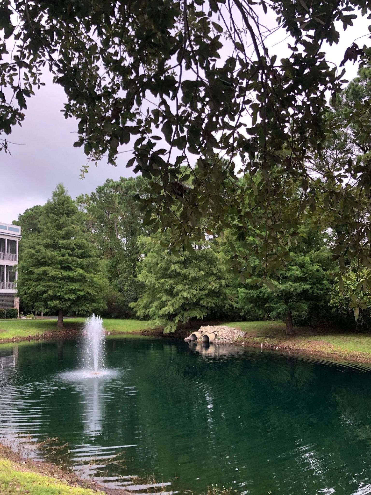 Pond with fountain in a park-like setting, surrounded by trees and a cloudy sky.