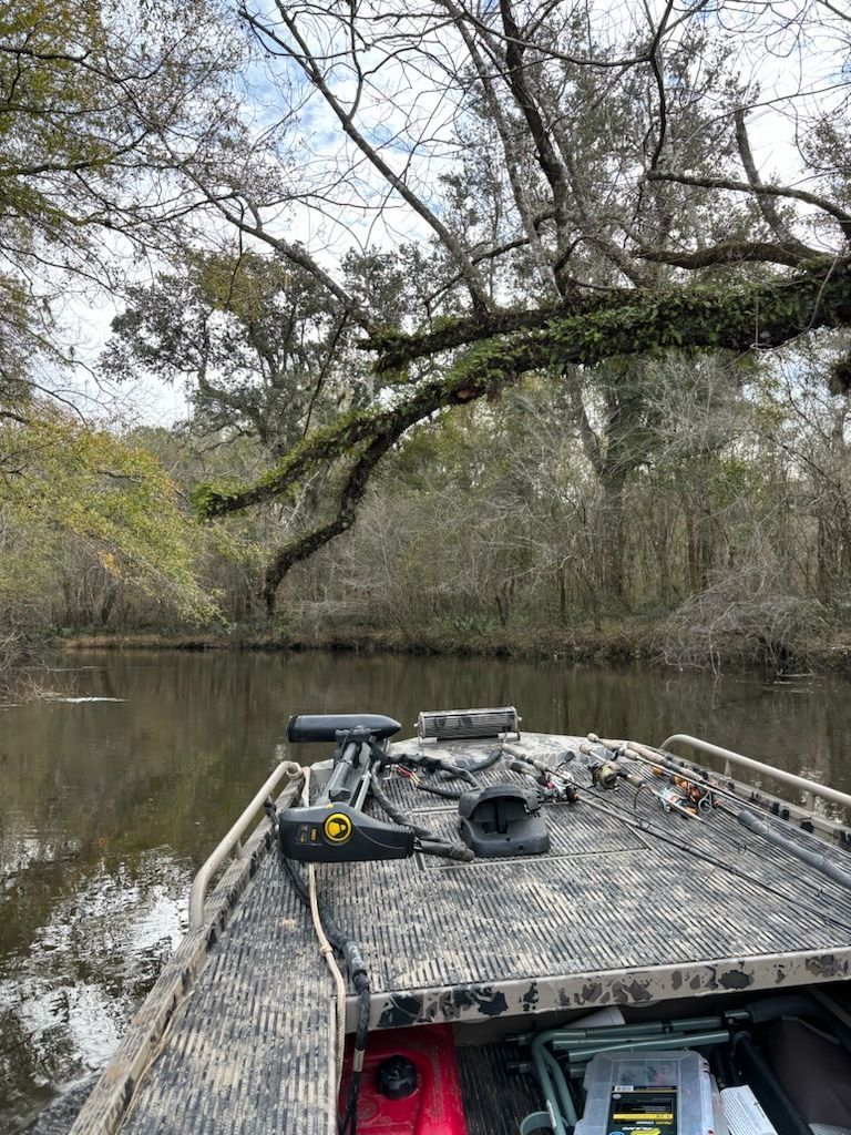 Boat on a river, trees overhanging the water, cloudy sky above.