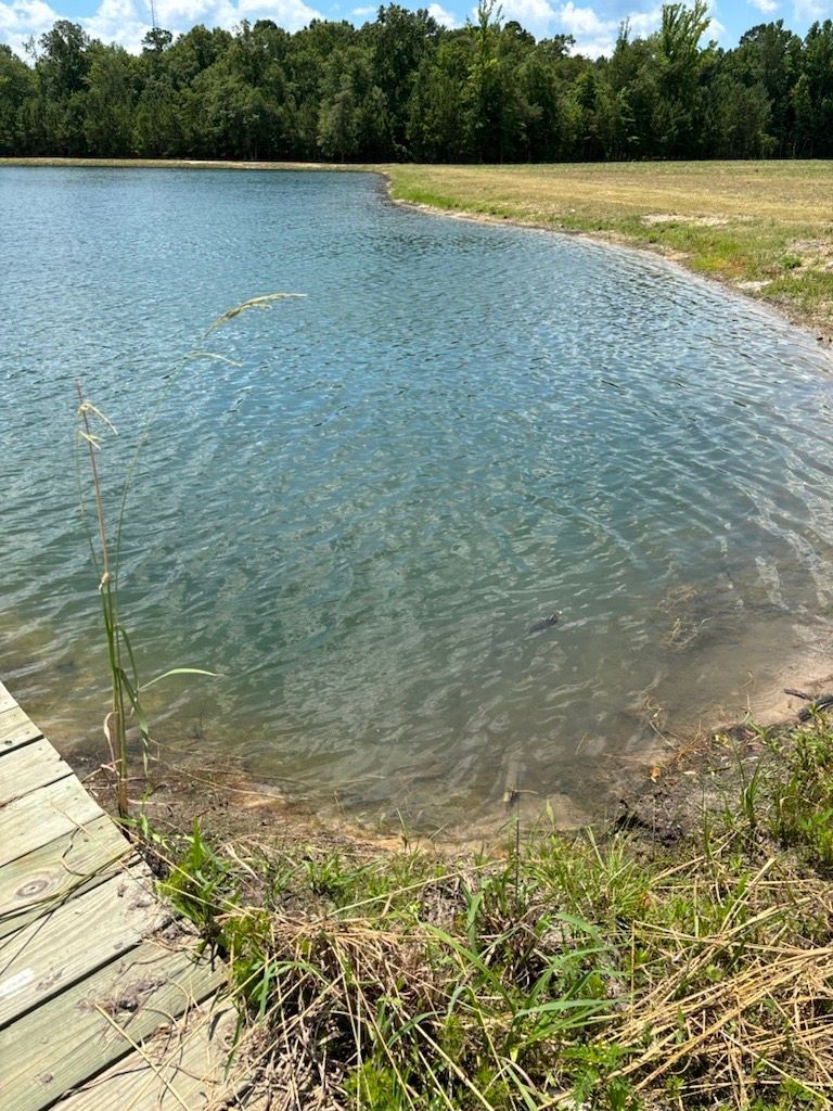 Pond with blue water, sandy shore, and grassy bank. Trees and a wooden dock are visible.