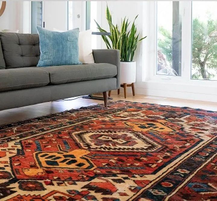 Gray sofa beside a vibrant patterned rug in a bright living room with a potted plant and large windows