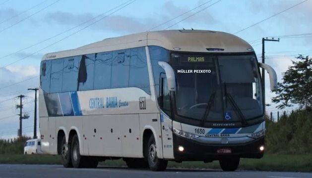 ônibus novo horizonte