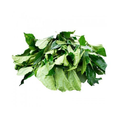 Kahurura / Pumpkin Leaves