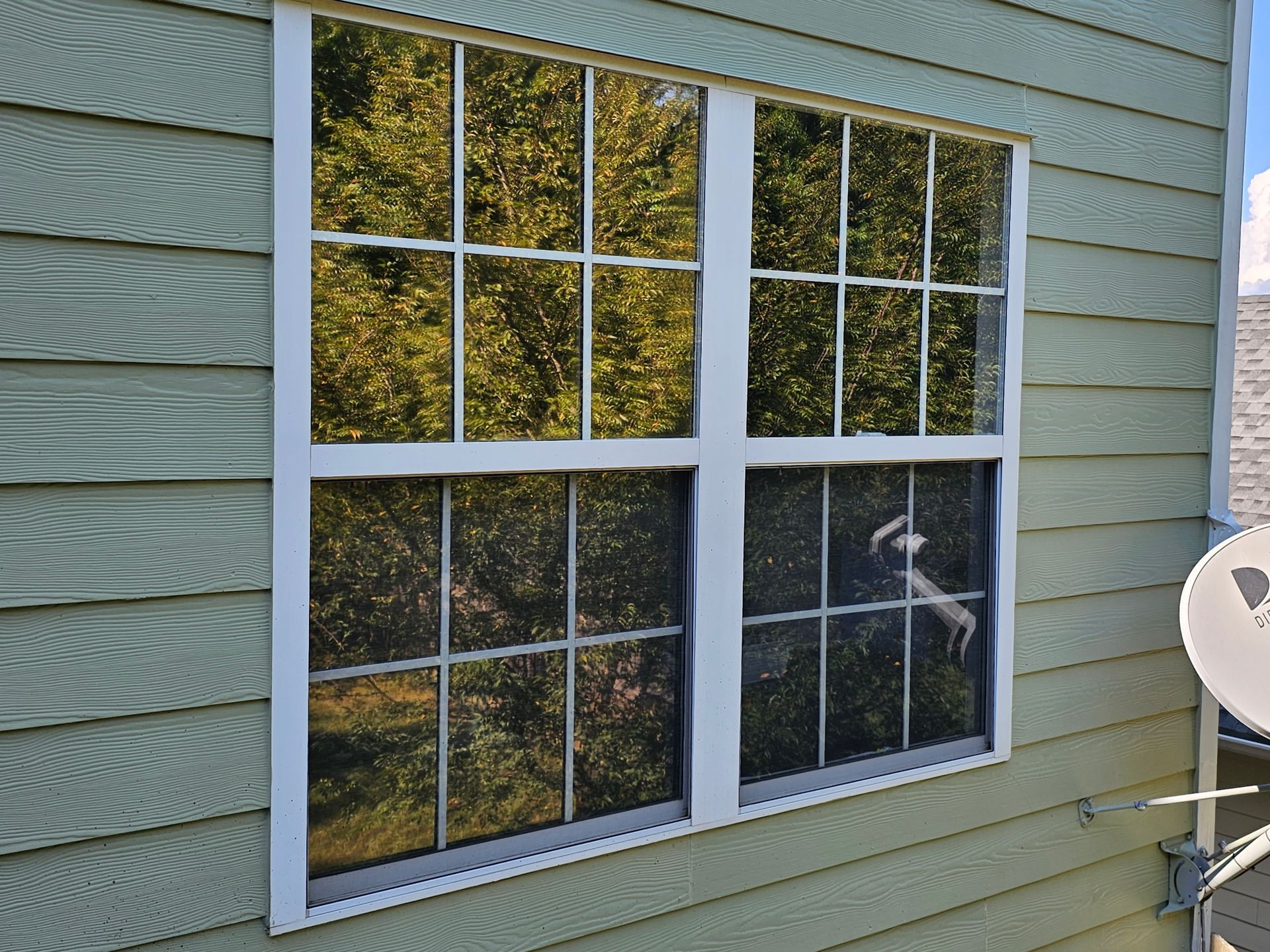 White-trimmed window on a light green house exterior, reflecting trees and sky.