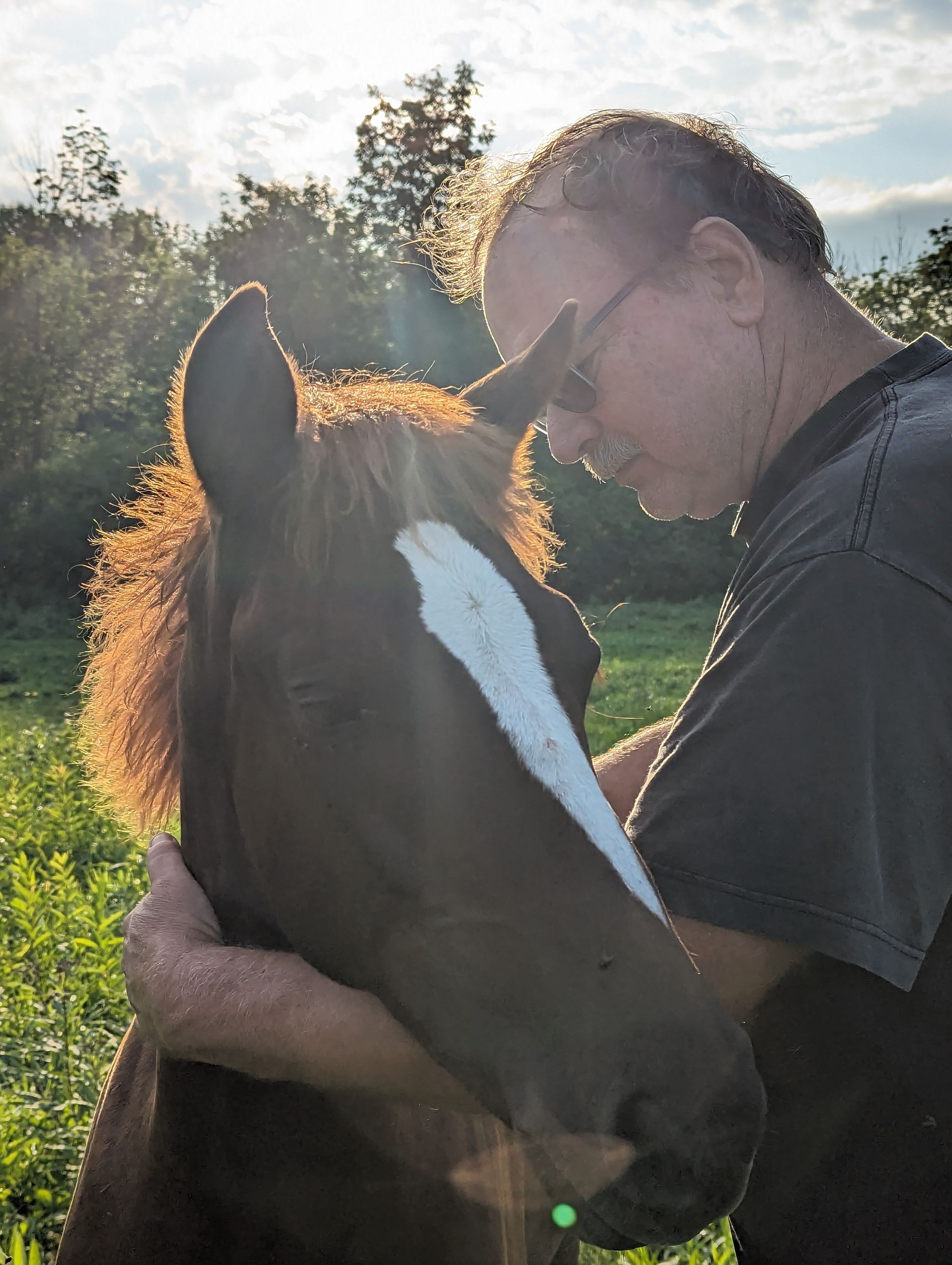 Old man hugging young foal