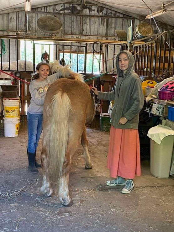 Two people standing beside a horse in a stable, one holding the reins and one near the hindquarters.