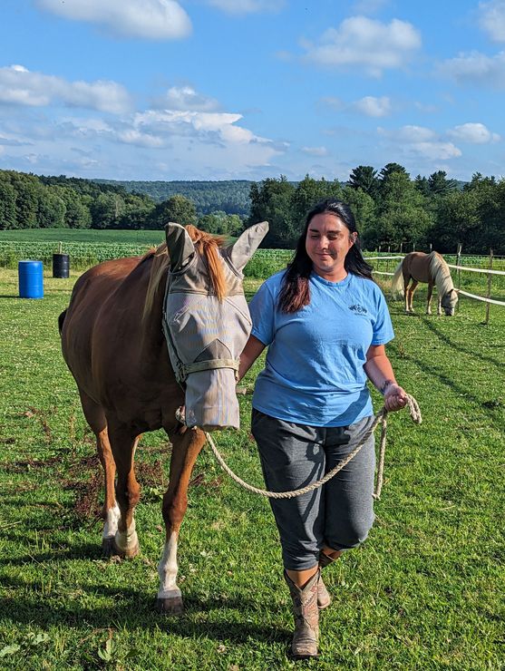 Woman walking beside a brown-and-white cow on a grassy field under a blue sky.