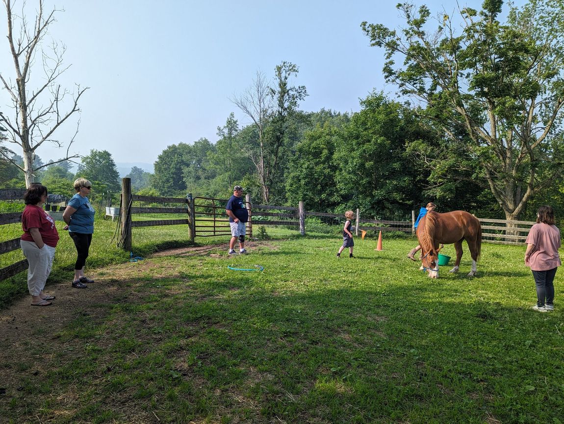 People and a brown cow in a sunny grassy field near a wooden fence