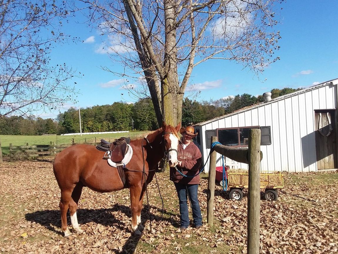 Woman stands beside a brown horse near a barn under a tree in a sunny yard.