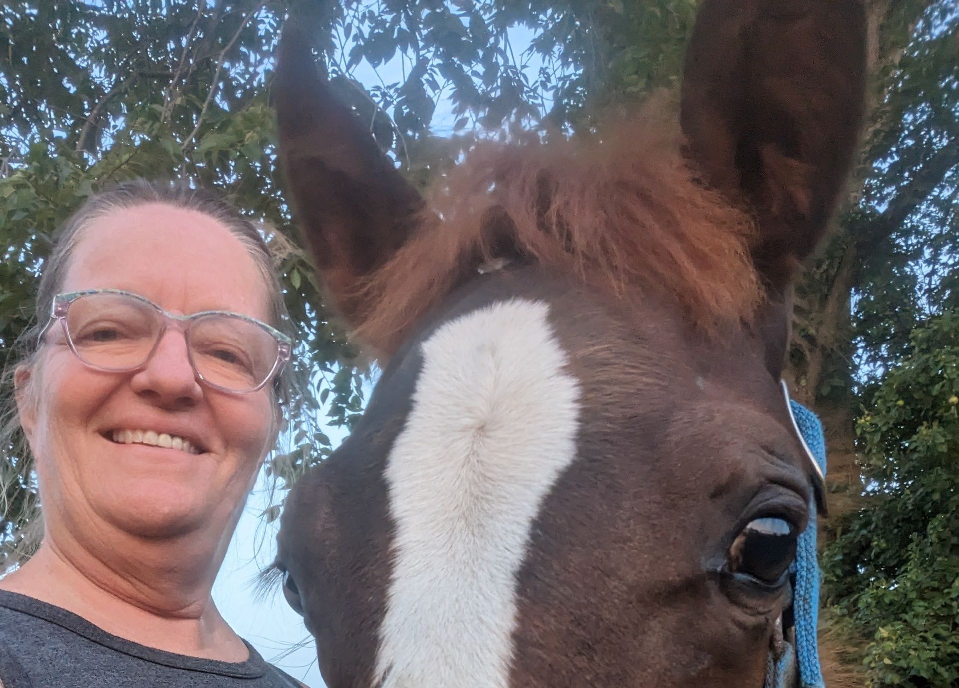 Closeup of the faces of an old woman and a young horse