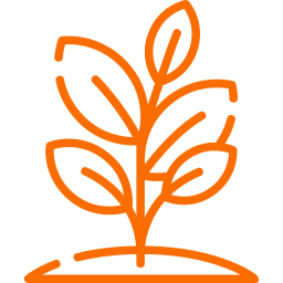 plant icon