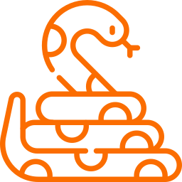 Snake icon