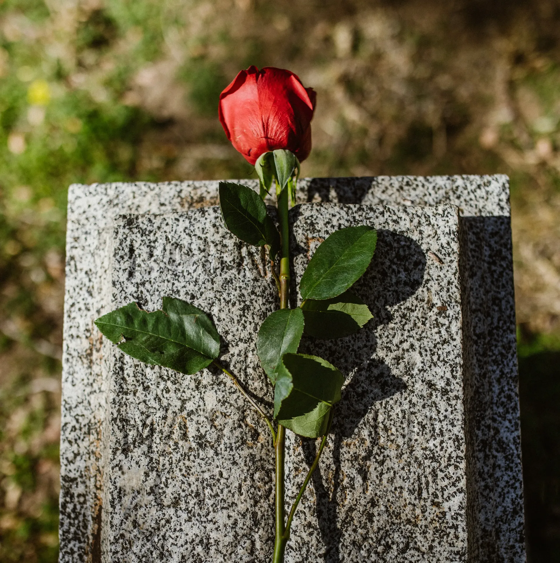 Graveside Funeral Services at R. L. Sanders in North Carolina
