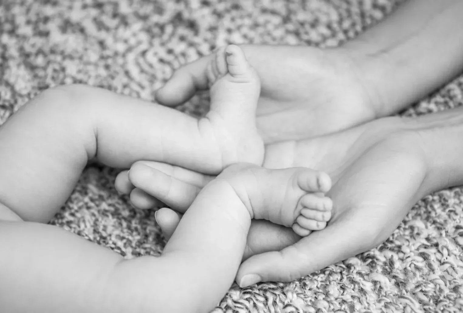 Babyfüße liegen in den Händen eines Erwachsenen in Schwarz-Weiß