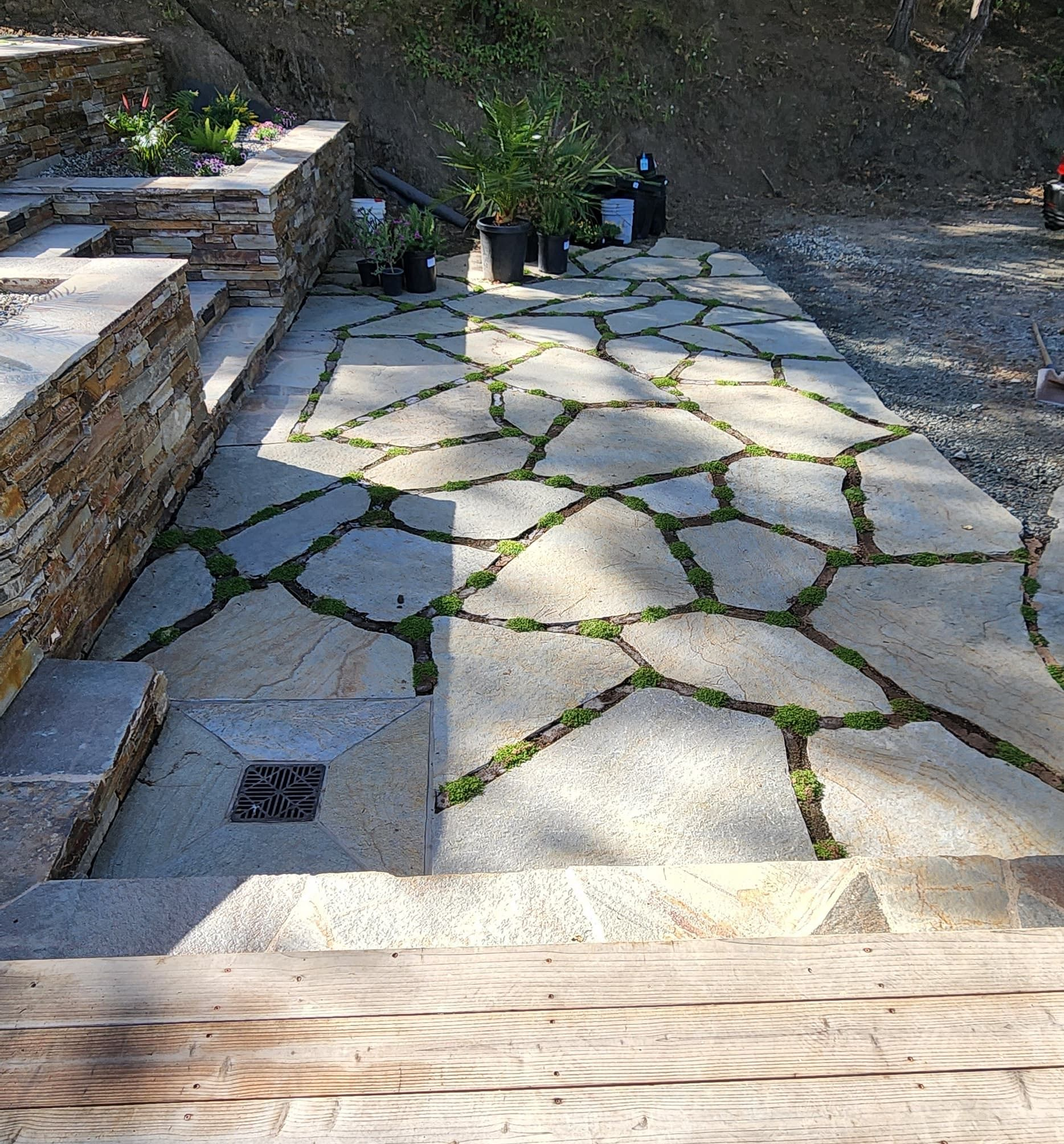 A stone patio with irregularly shaped pavers and groundcover growing between the joints, located next to a tiered wall.