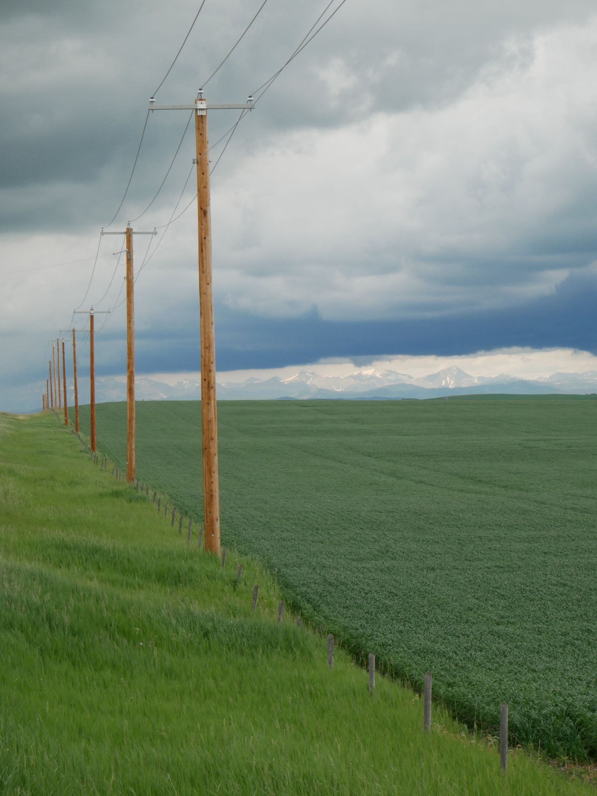 Utility line poles (power transmission poles)