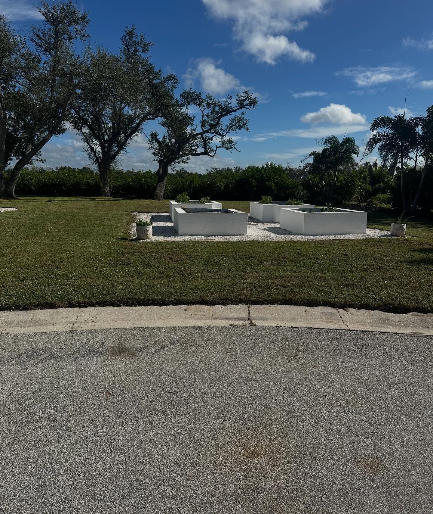 Grassy park with white stone benches under trees on a sunny day