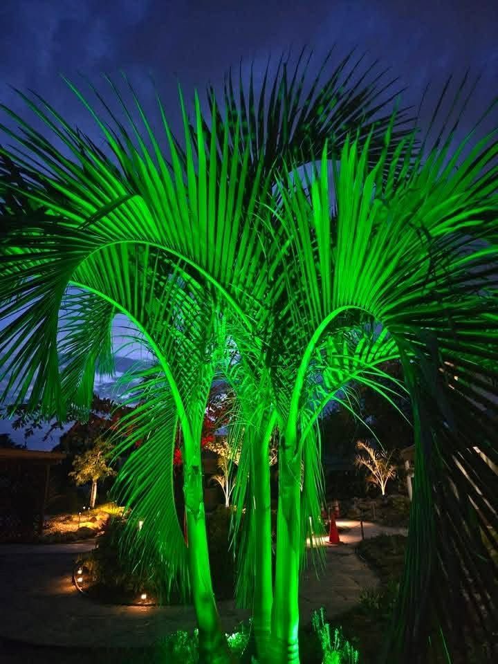 Green-lit palm trees glowing at night in a garden under a dark blue sky