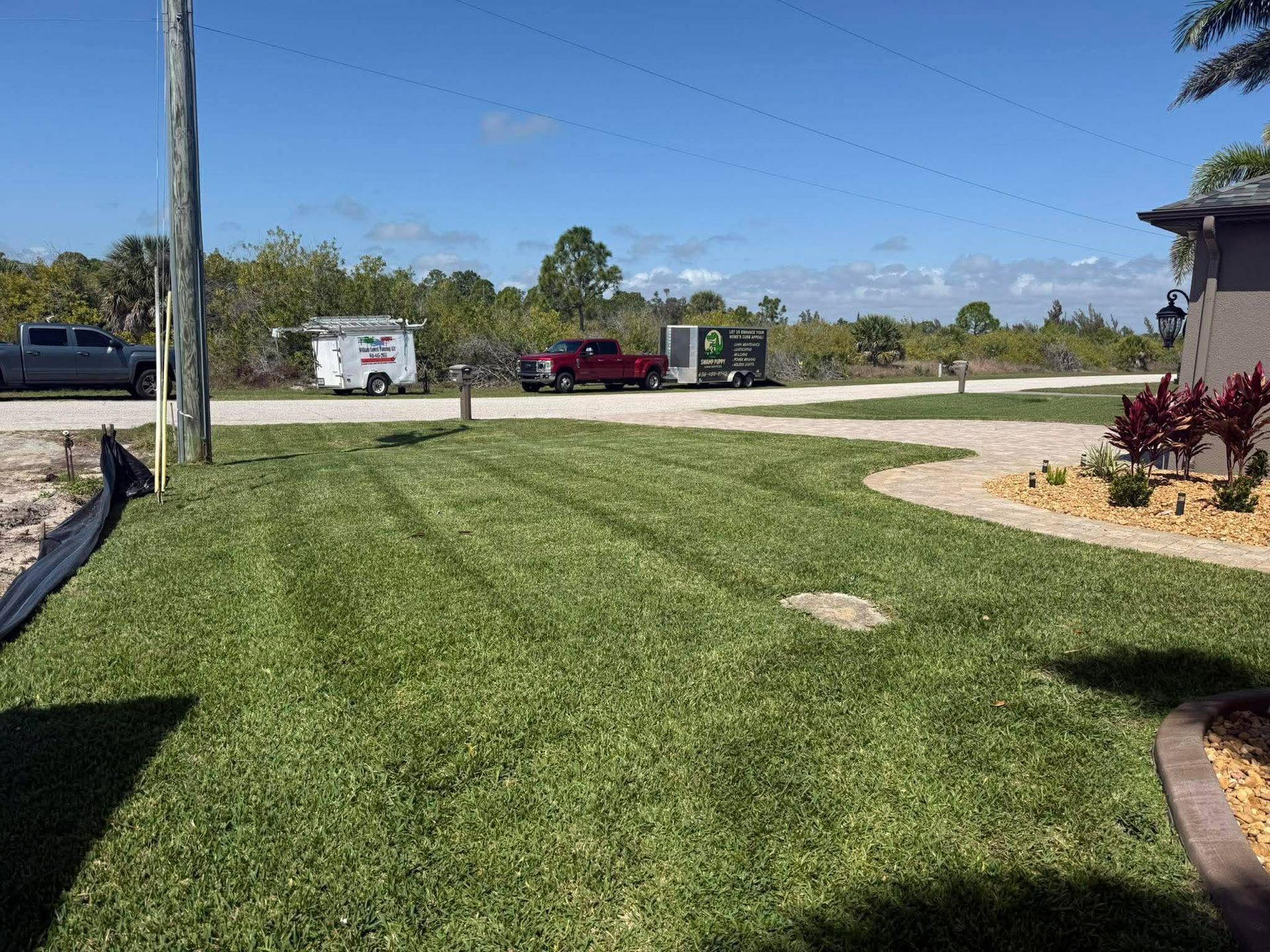 Sunny suburban yard with green lawn, driveway, parked vehicles, and a house under a clear blue sky