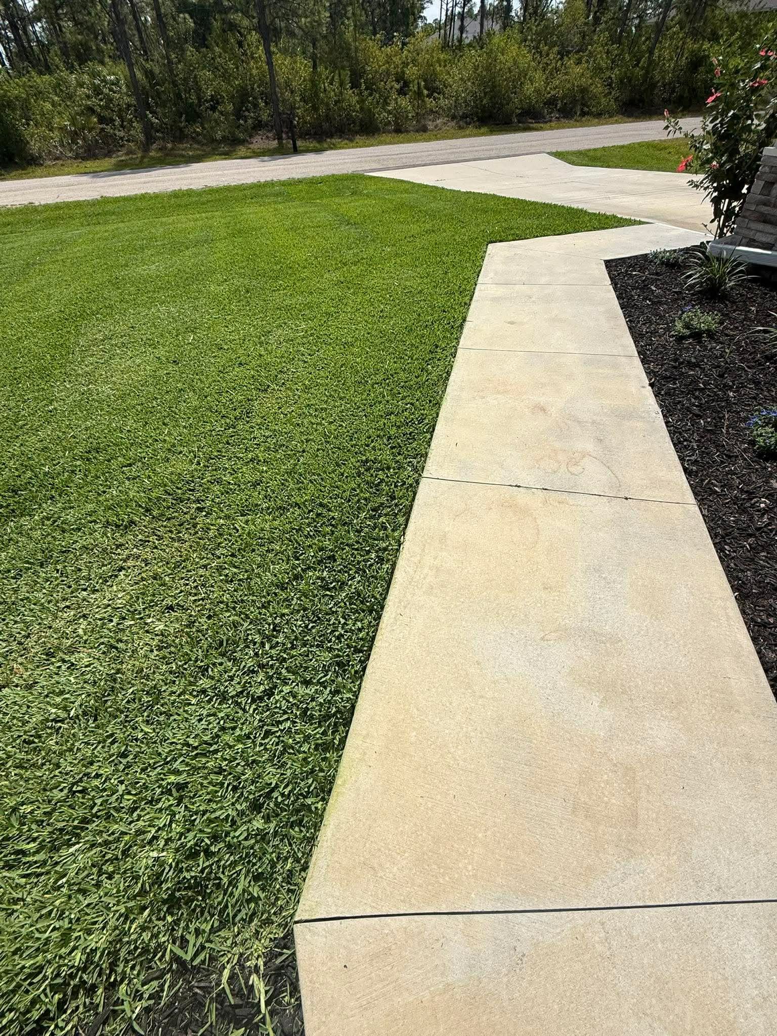 Curved concrete sidewalk beside a green lawn and landscaped shrubs in bright sunlight