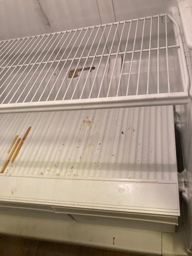 Empty white refrigerator shelves with brown stains and a wire rack inside